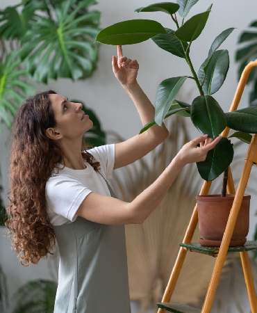 Indoor gardening