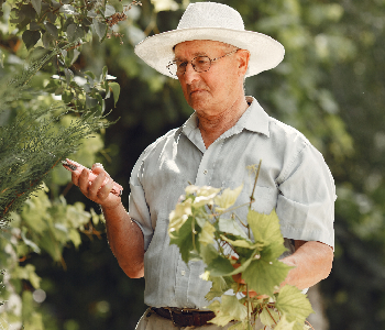 Senior gardener portrait