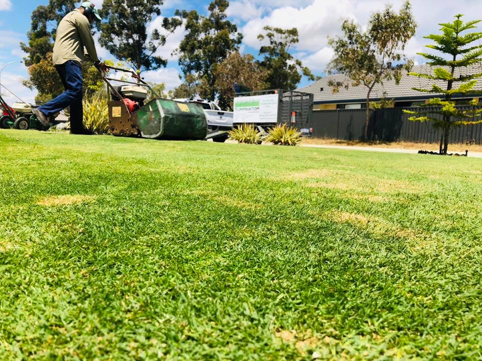 Lawn installation