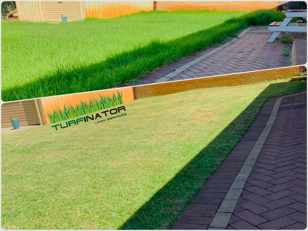 Lawn maintenance