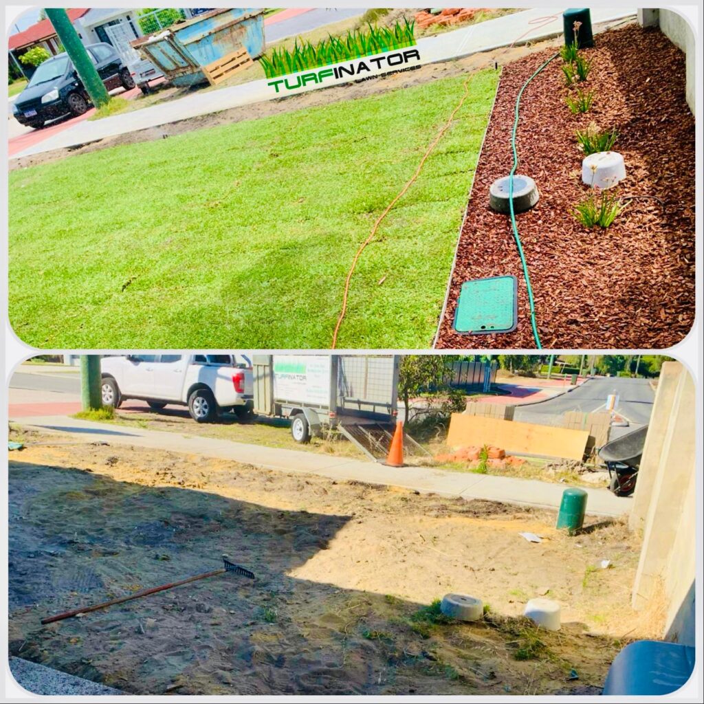 Lawn Laying