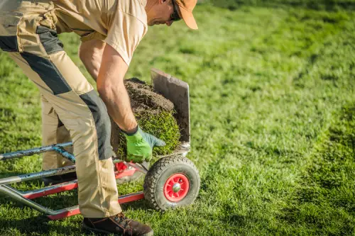 Sod rolls cart