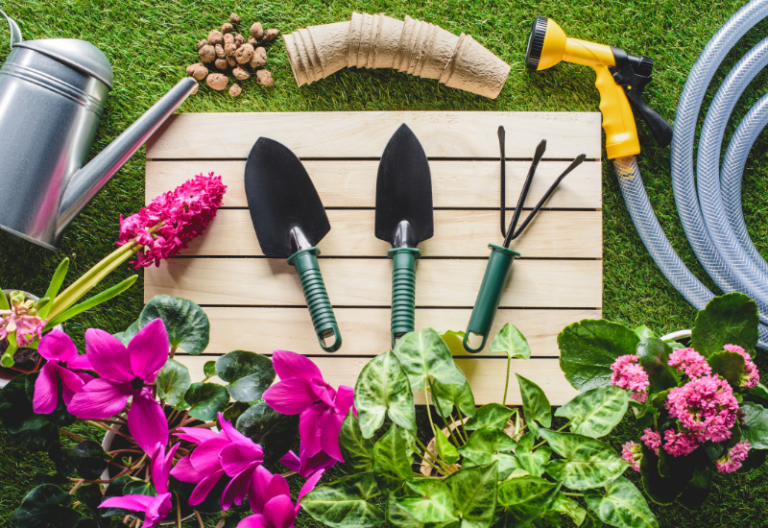 How To Choose the Right Gardening Services for Your Home or Business