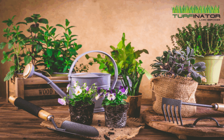 10 Signs You Need Professional Gardening Services Immediately